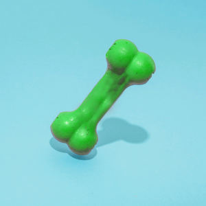 The Indestructible Bone